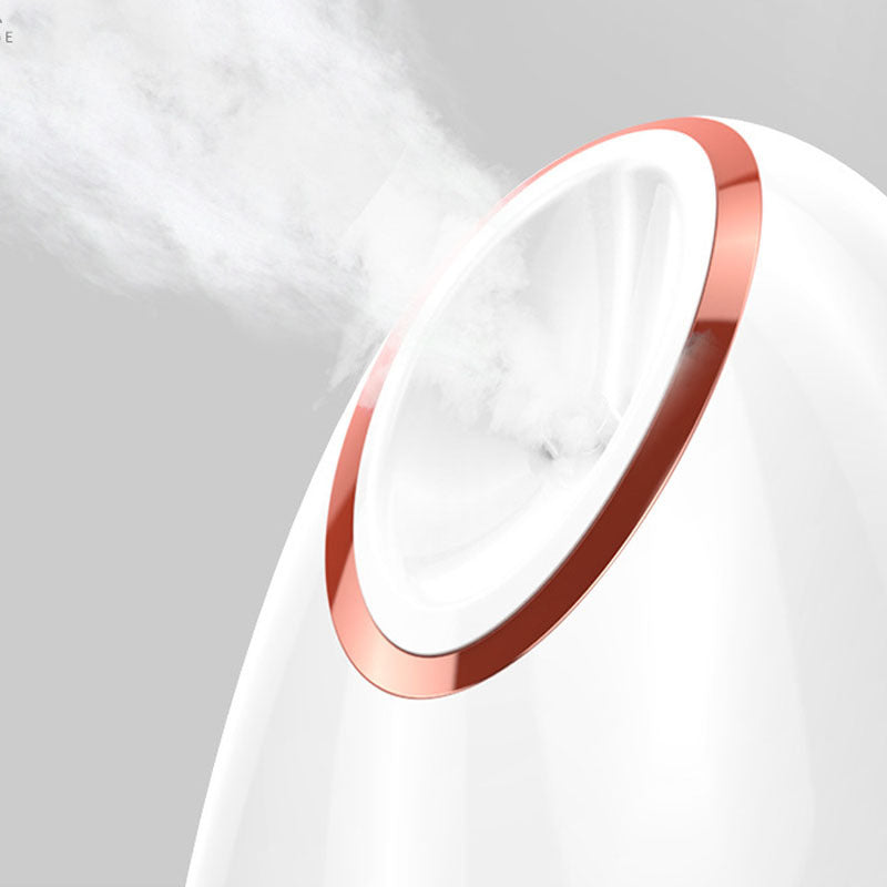 Moisturizing Face Steamer