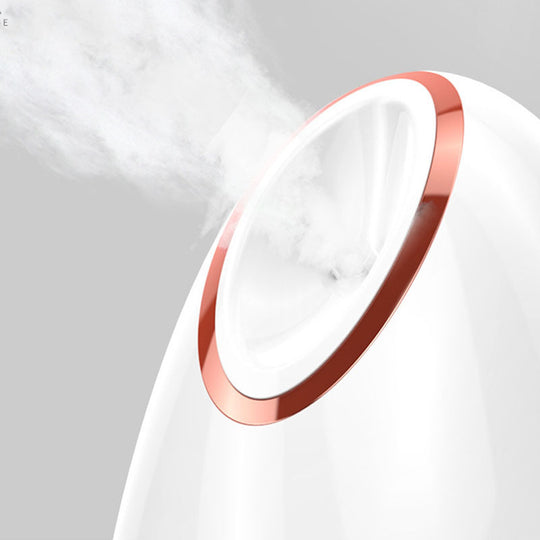 Moisturizing Face Steamer