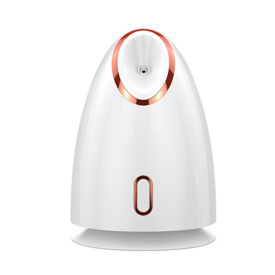 Moisturizing Face Steamer