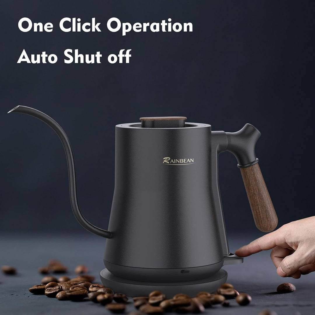 Gooseneck Electric Coffee Kettle