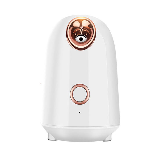Moisturizing Face Steamer